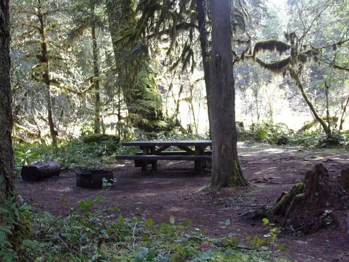 Limberlost Group Site
