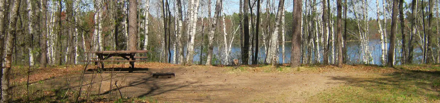Morgan Lake Campground And Group Site