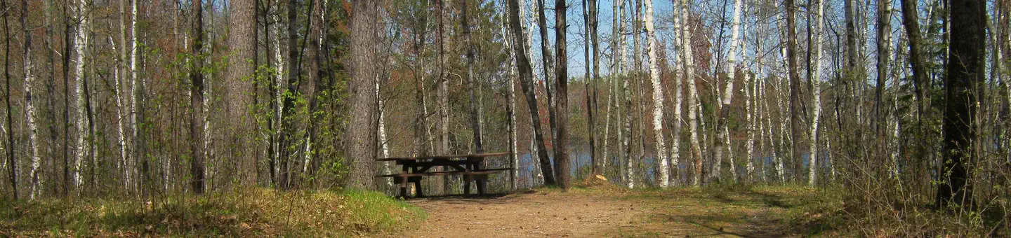 Morgan Lake Campground And Group Site