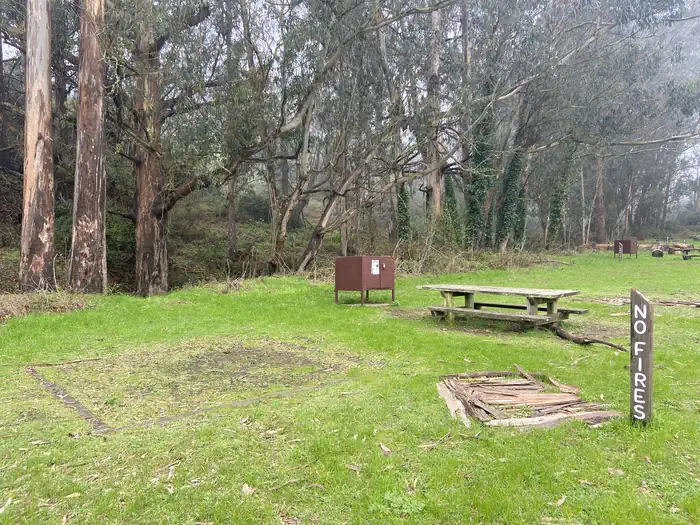 Site 2