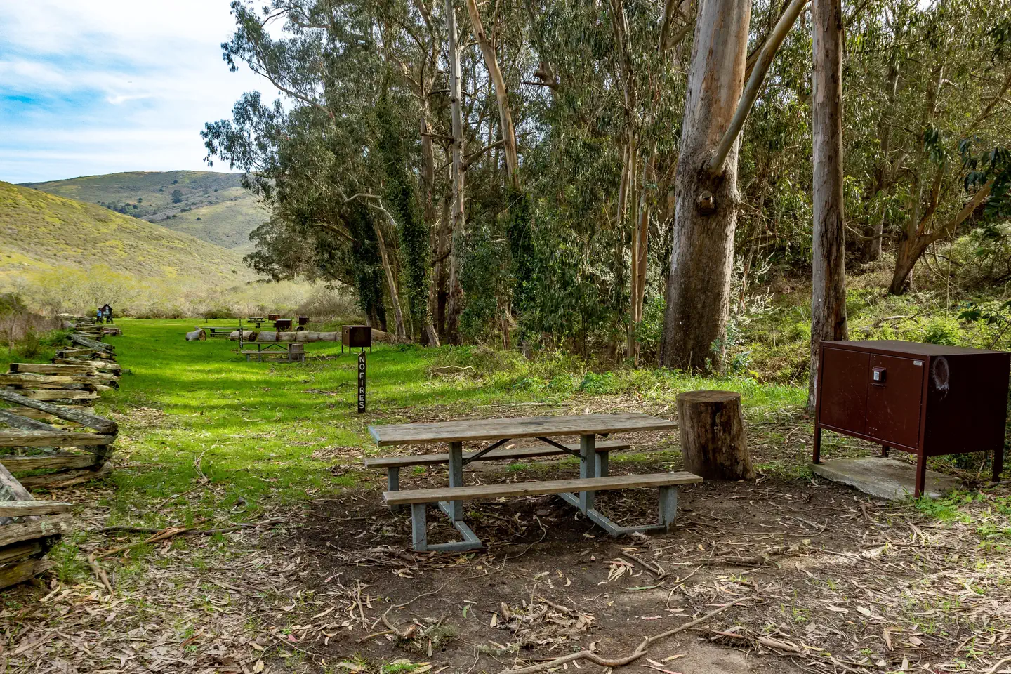 Site 5