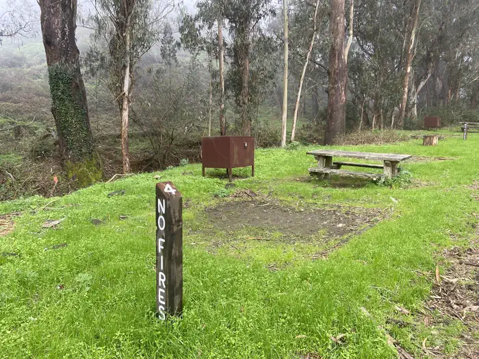 Site 4