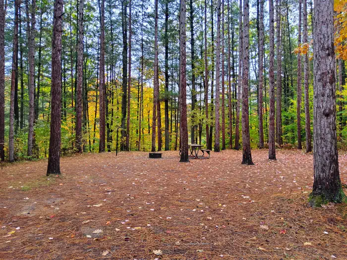 Seaton Creek Campground