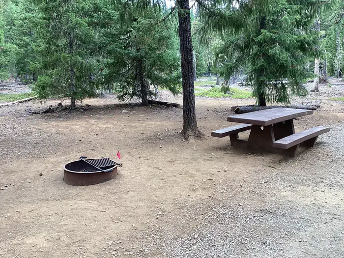 Pine Point Campground (Timothy Lake, OR)