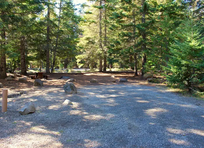 Pine Point Campground (Timothy Lake, OR)