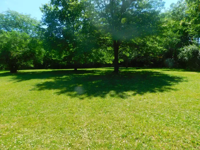 Acorn Valley