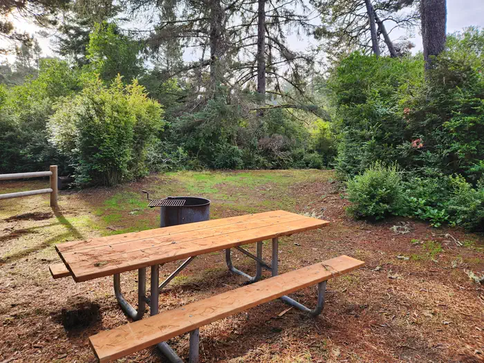 Waxmyrtle Campground