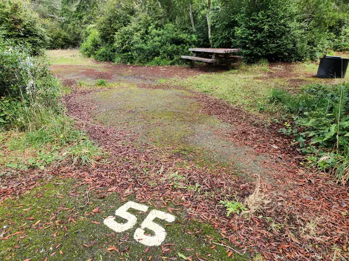 Waxmyrtle Campground