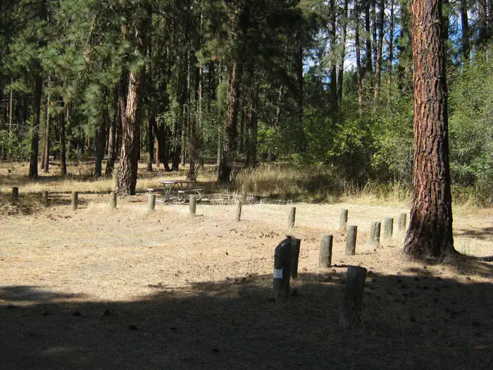 Haag Cove Campground