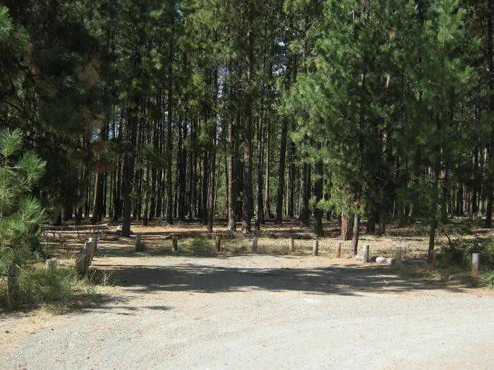 Haag Cove Campground