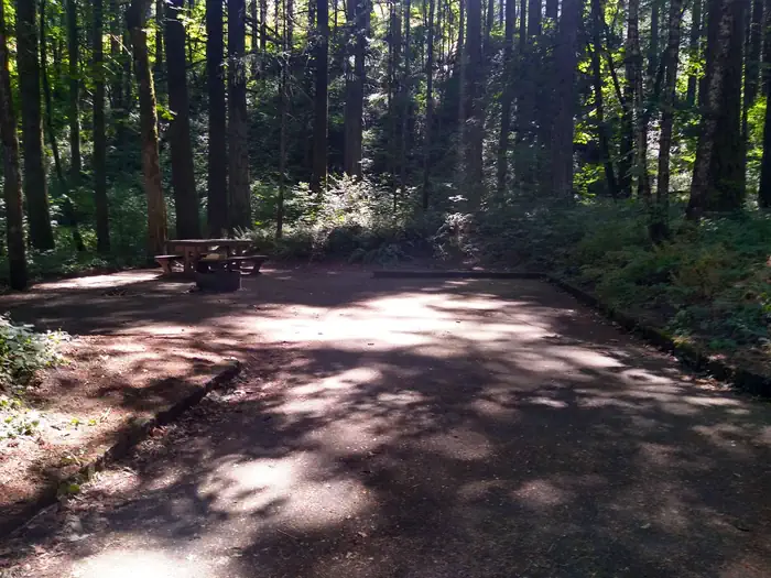 Wyeth Campground at the Gorge
