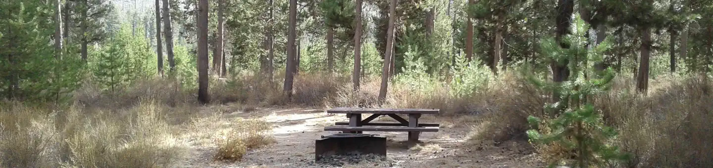 East Davis Campground
