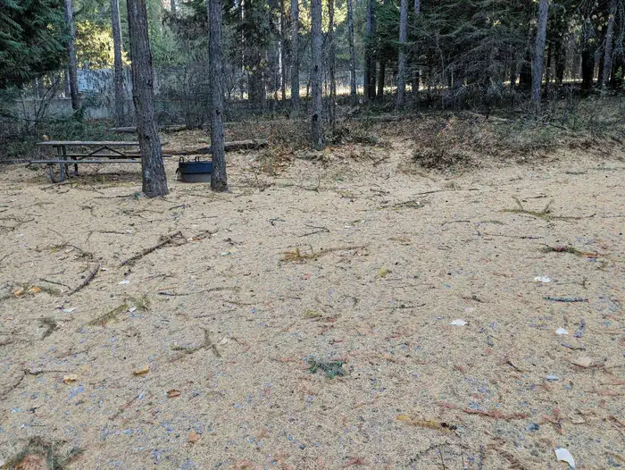 Springy Point