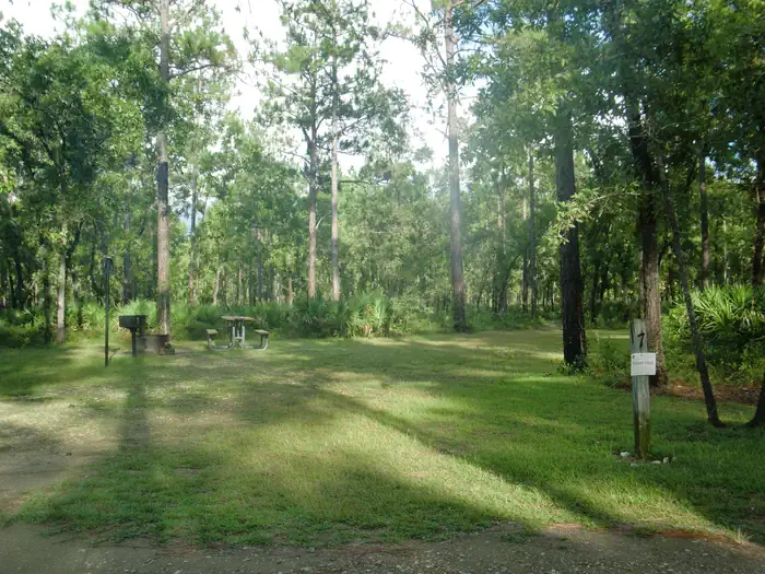 Camel Lake Campground