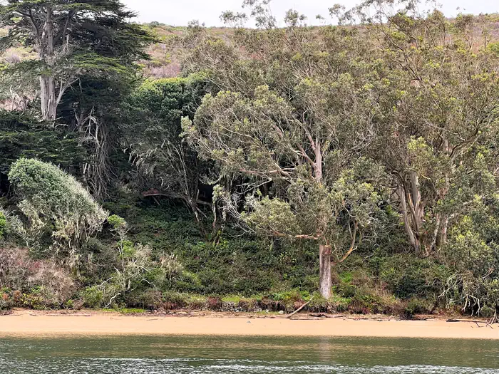 Point Reyes National Seashore Campground