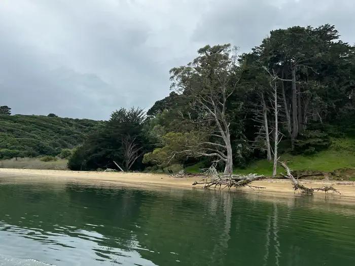 Point Reyes National Seashore Campground