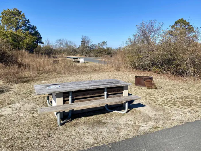 ASSATEAGUE ISLAND NATIONAL SEASHORE CAMPGROUND