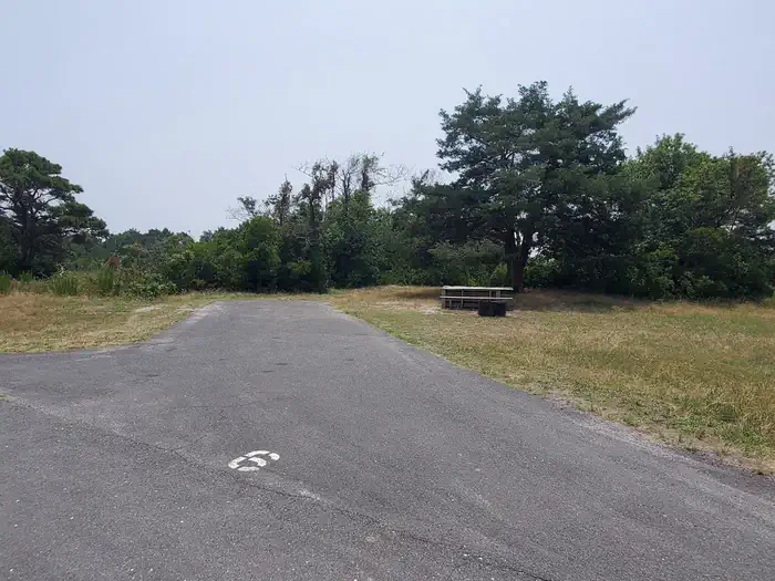 ASSATEAGUE ISLAND NATIONAL SEASHORE CAMPGROUND