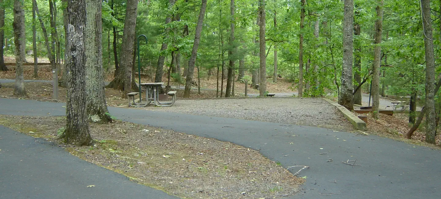 Salthouse Branch Campground