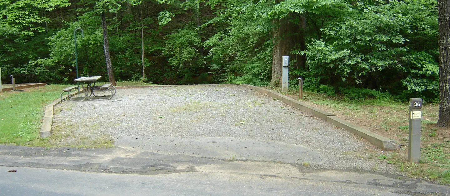 Salthouse Branch Campground