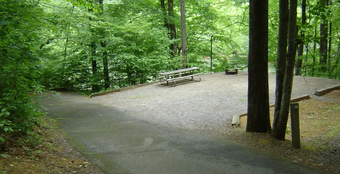 Salthouse Branch Campground