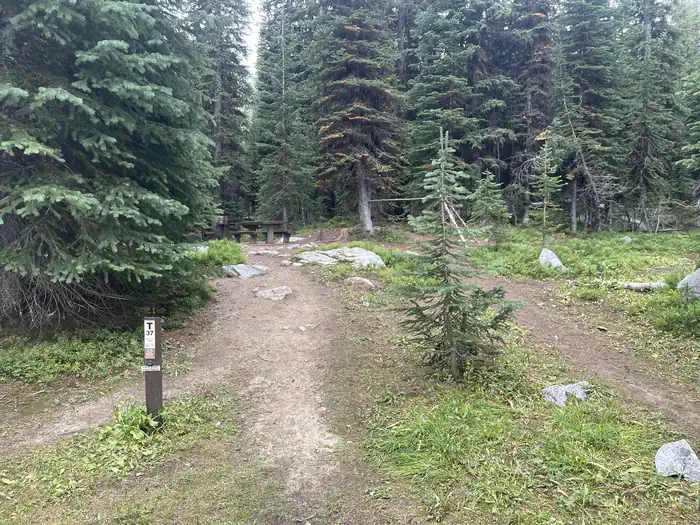 Anthony Lake
