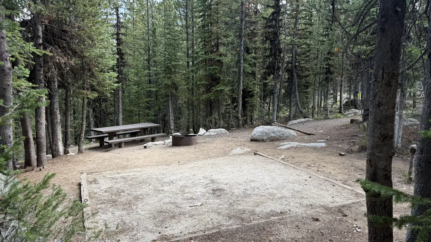 Anthony Lake