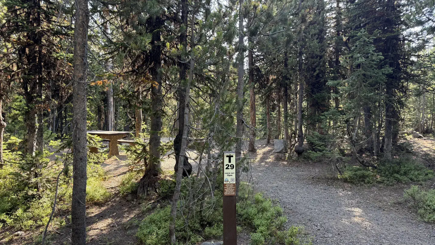 Anthony Lake