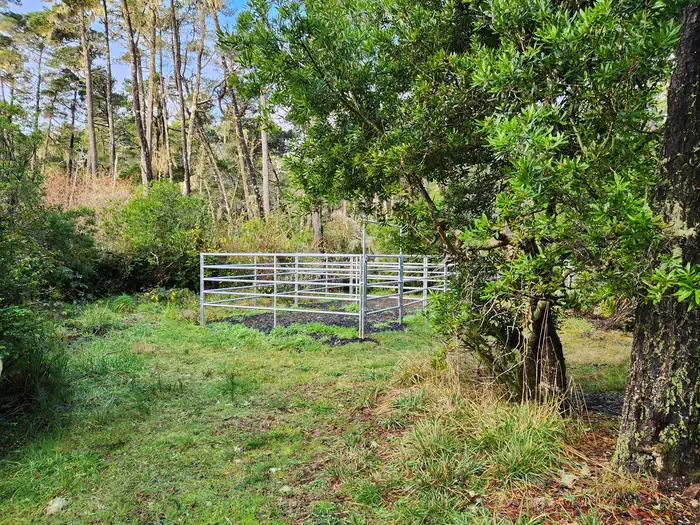 Wild Mare Horse Campground