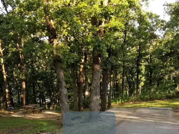 Cherryvale Park