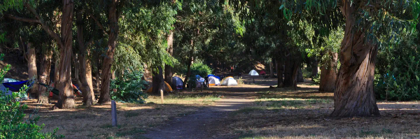 Santa Cruz Island Scorpion Canyon Campground
