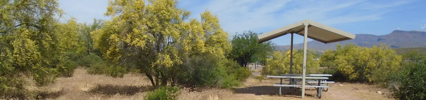Windy Hill Campground