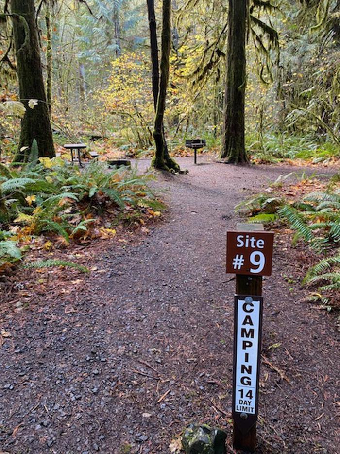 Cedar Grove Recreation Site