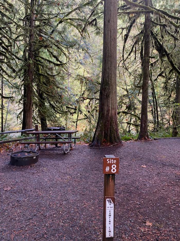 Cedar Grove Recreation Site