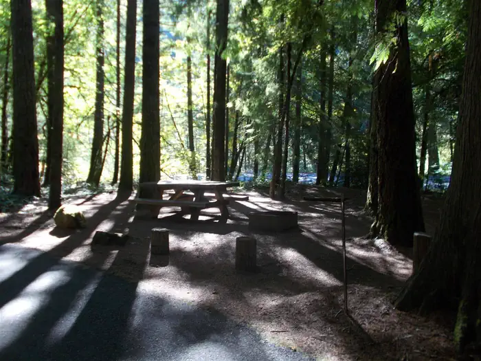 BOGUS CREEK CAMPGROUND
