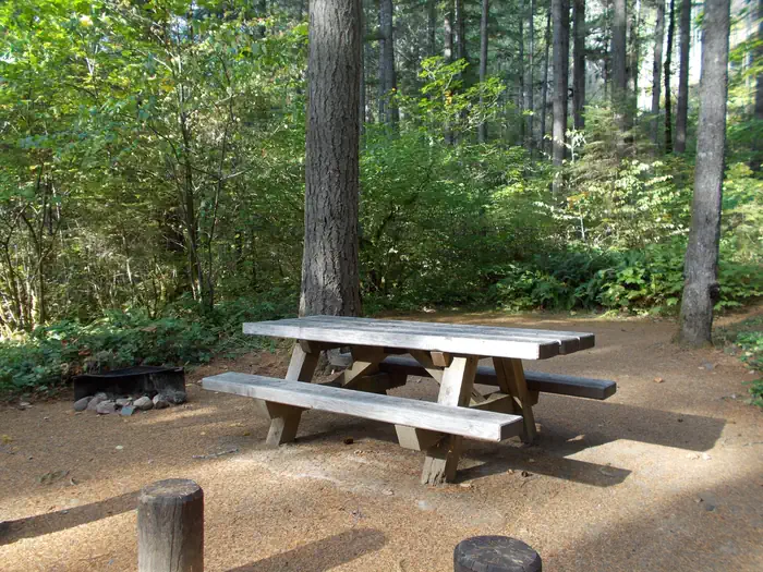 BOGUS CREEK CAMPGROUND