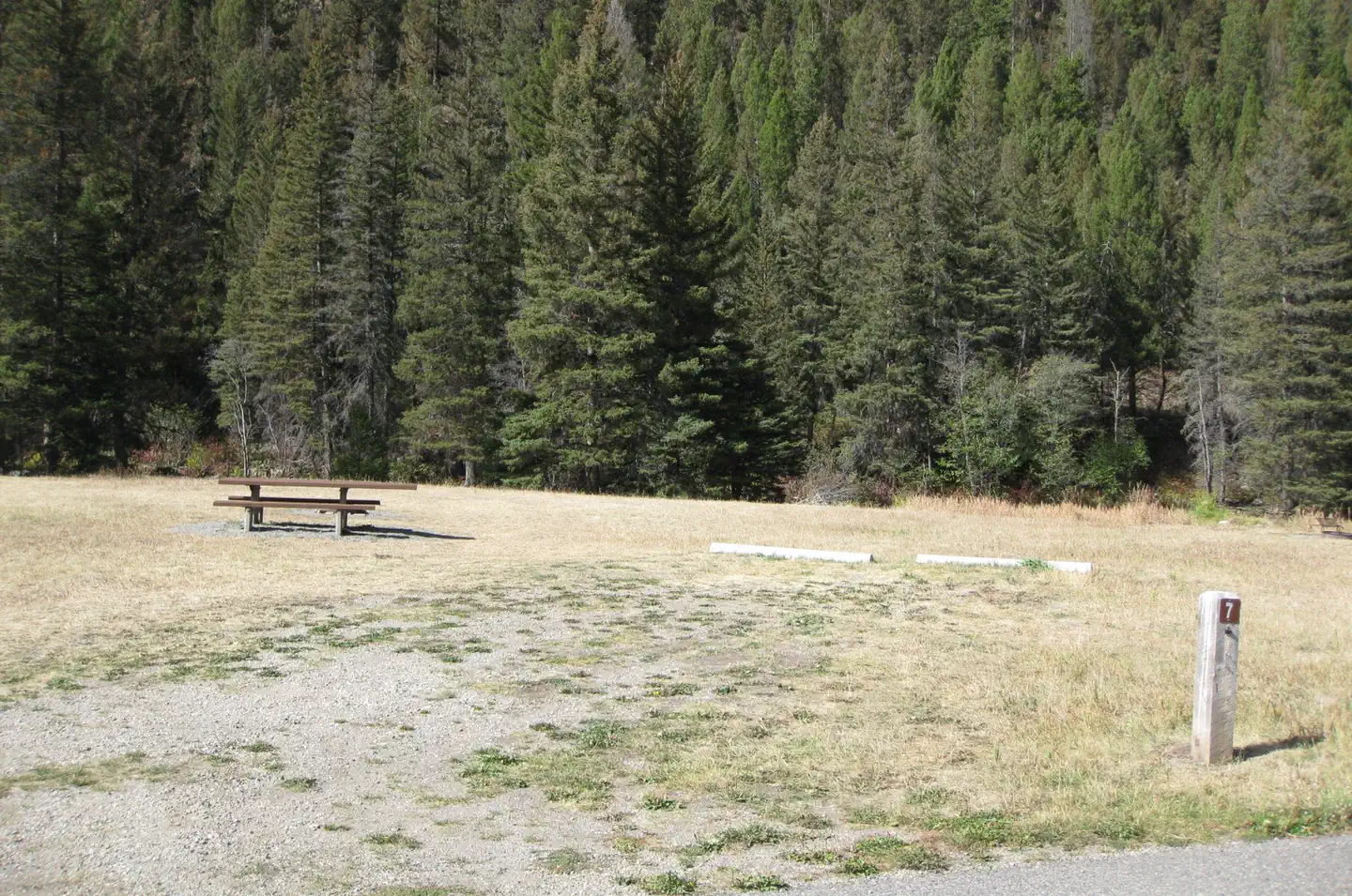 Moose Creek Flat Campground