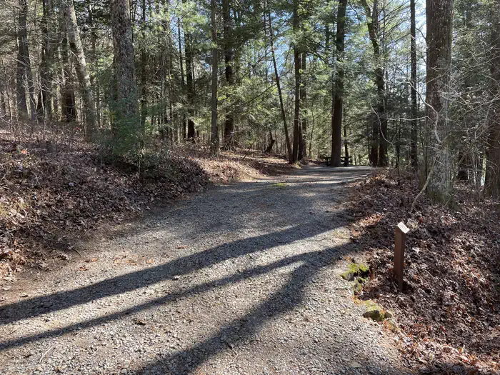Lake Conasauga