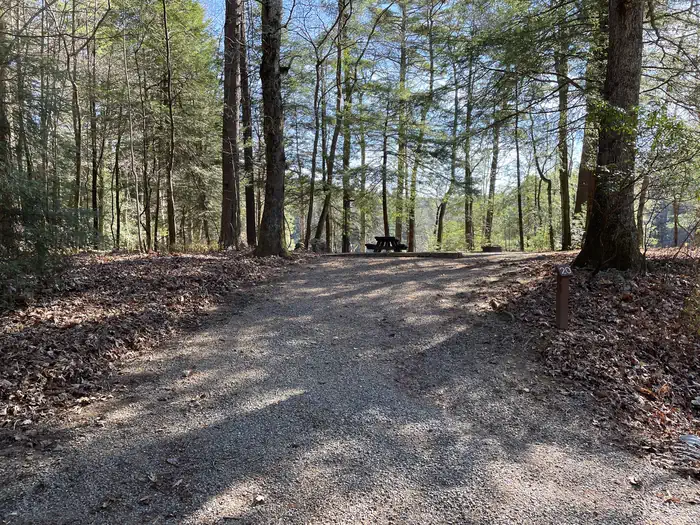Lake Conasauga