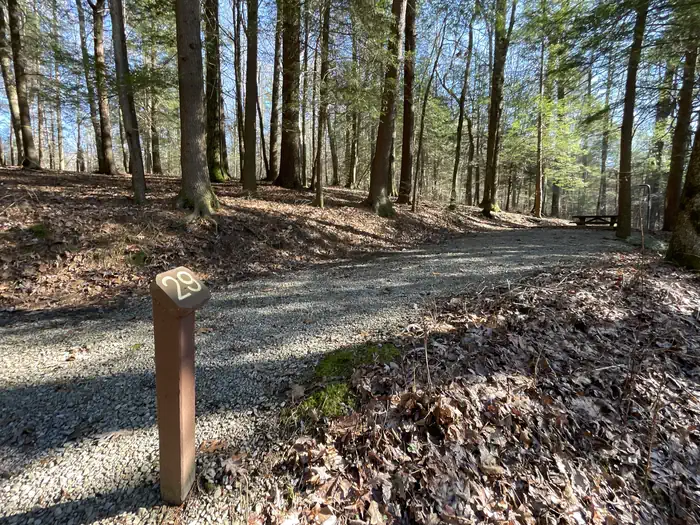 Lake Conasauga