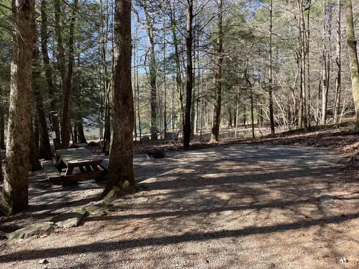 Lake Conasauga