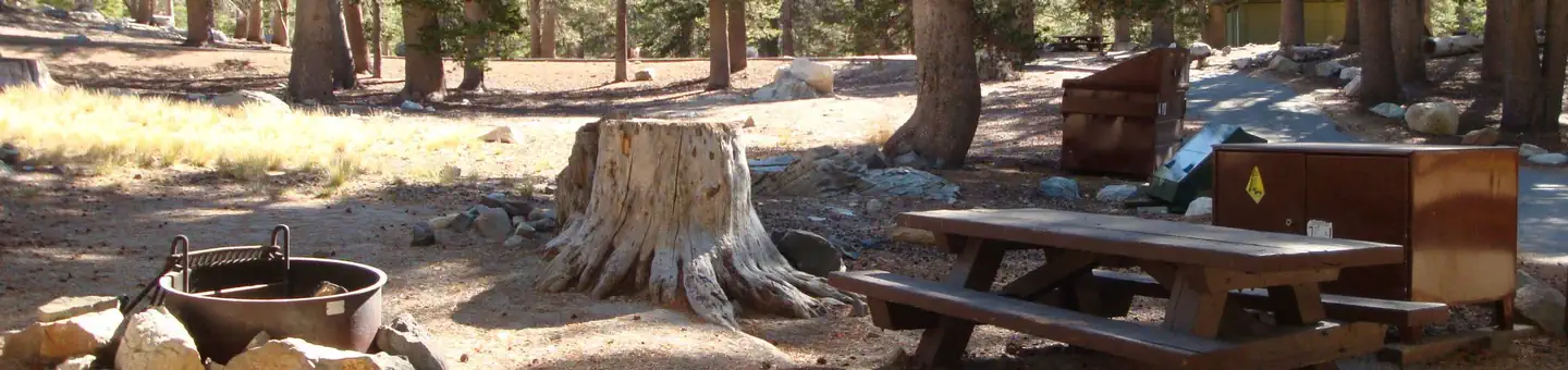 Lake Mary Campground