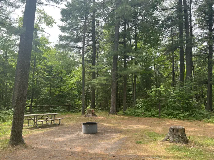 Carp River Campground