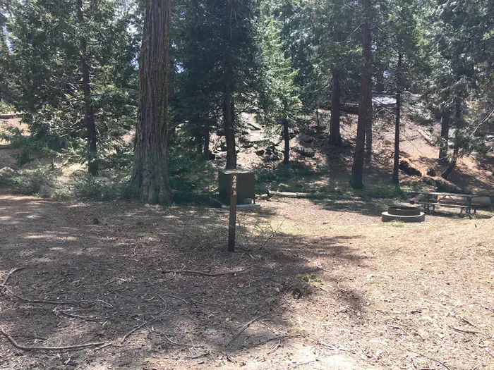 Crystal Springs Campground - Kings Canyon National Park