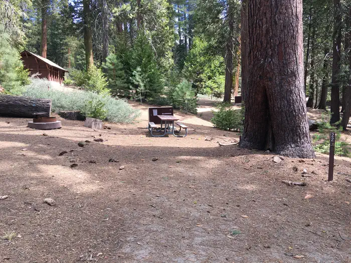 Crystal Springs Campground - Kings Canyon National Park