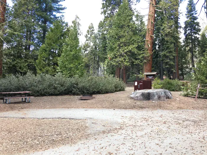 Crystal Springs Campground - Kings Canyon National Park