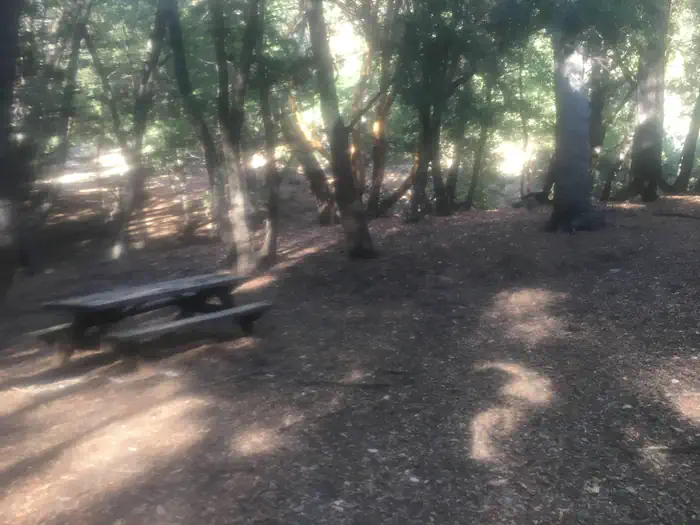 China Camp Campground