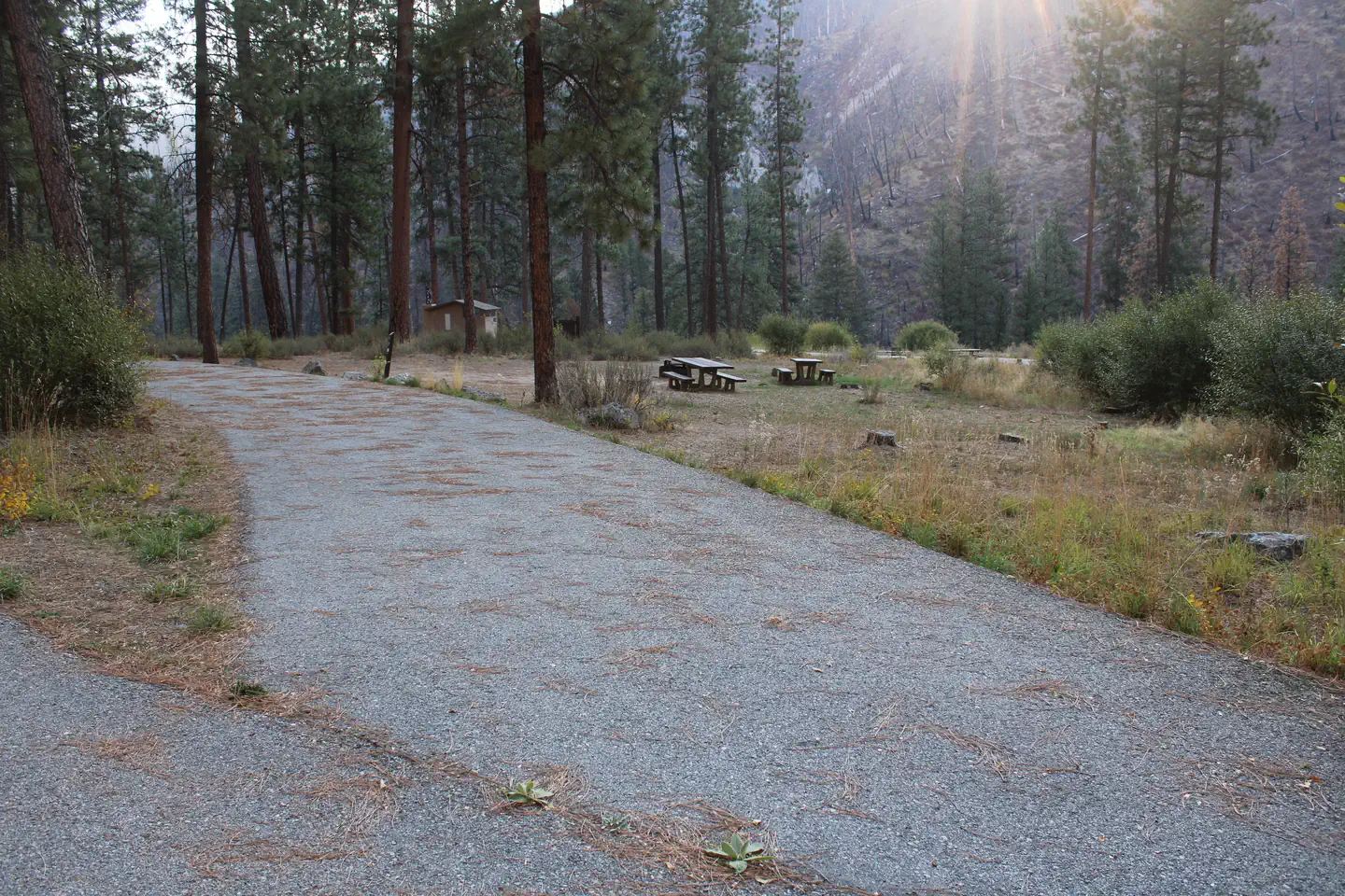 Pine Flats (ID)