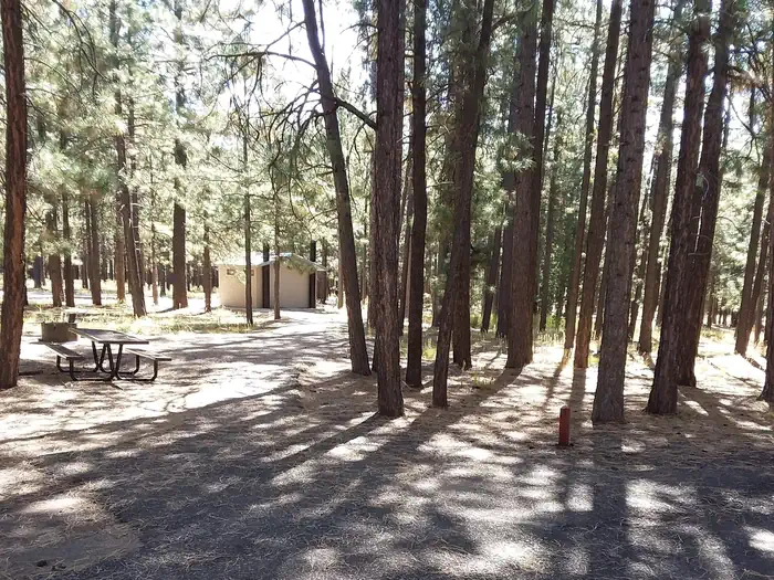 Canyon Point