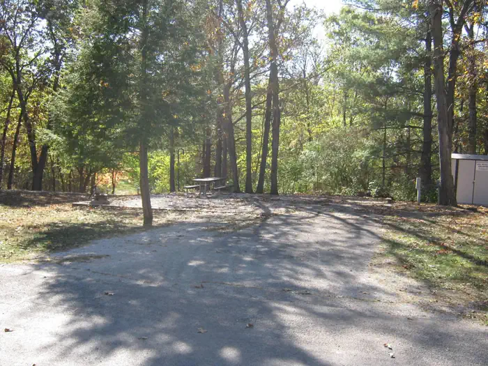 Coon Creek (il)